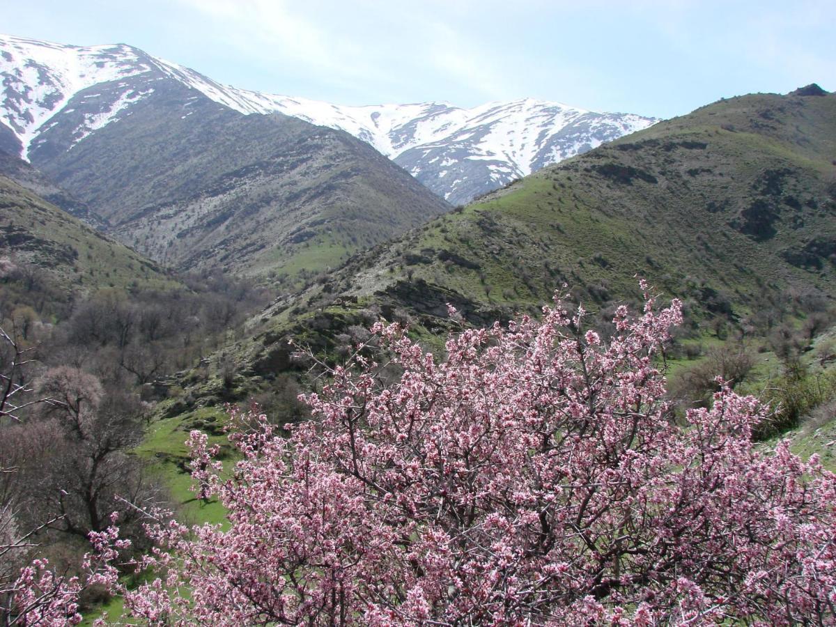 Hayat Nuratau Mountain Guesthouse Yukary-Ukhum Bagian luar foto
